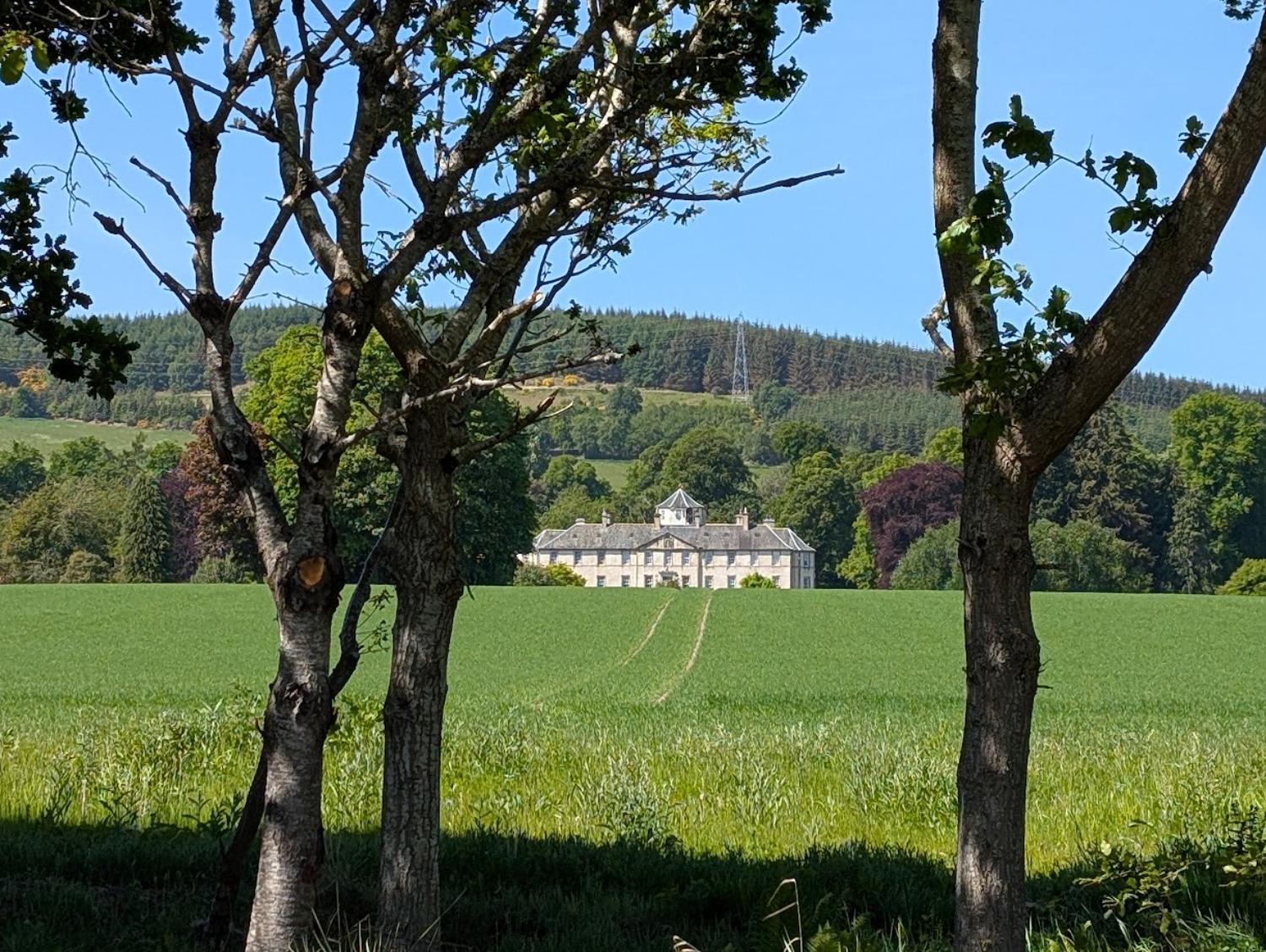 Balachladdich